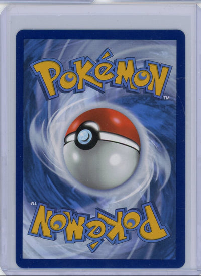 Mega Kangaskhan ex #182 Pokemon Mega Evolution Special Illustration Rare