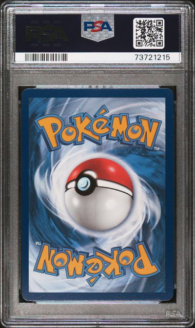 Lucario VSTAR 2023 Pokemon Black Star Promo Crown Zenith ETB #291 PSA 10