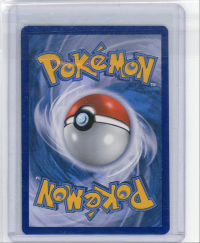 Wally Pokémon Roaring Skies Full-Art #107/108