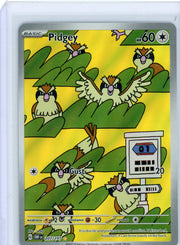 Pidgey Pokémon Obsidian Flames Illustration Rare #207/197