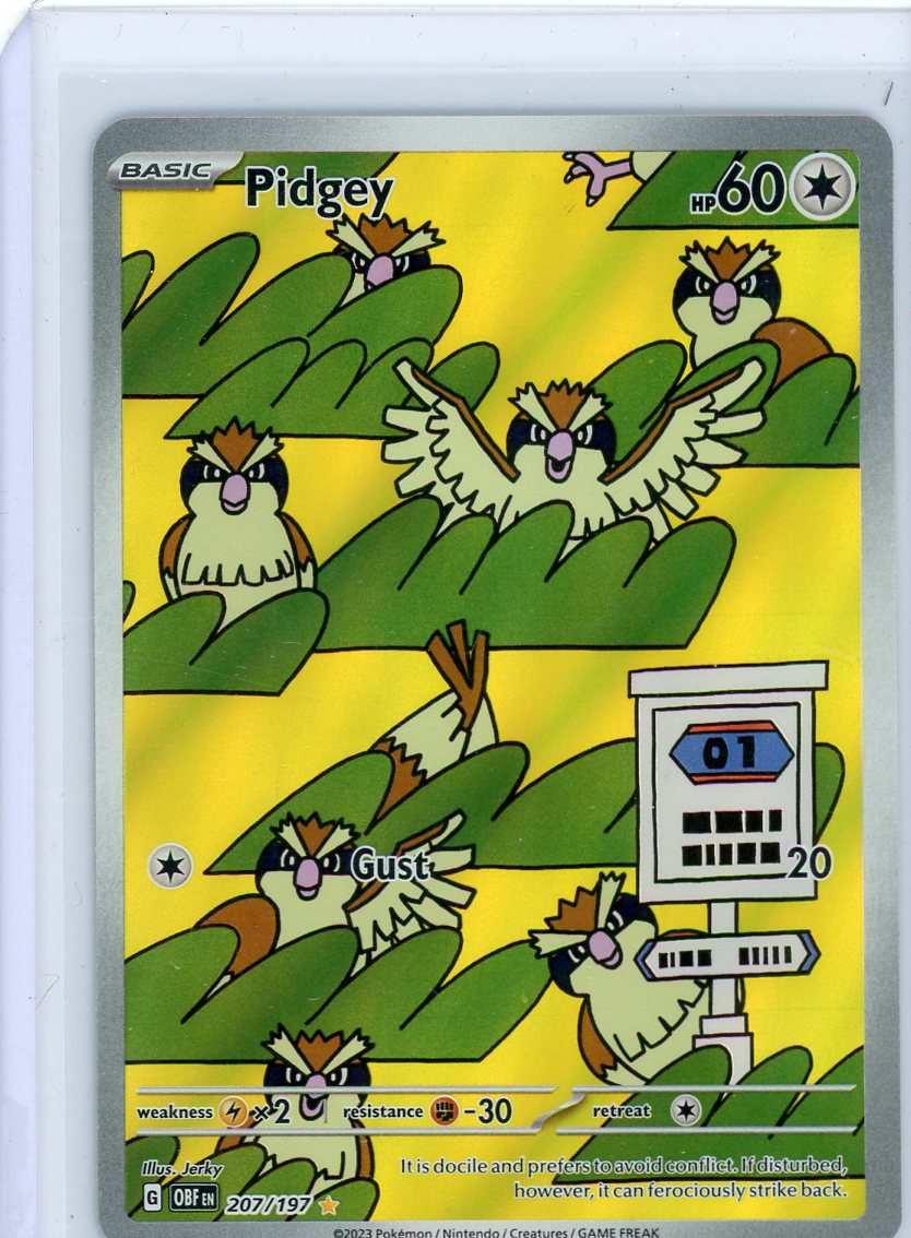Pidgey Pokémon Obsidian Flames Illustration Rare #207/197
