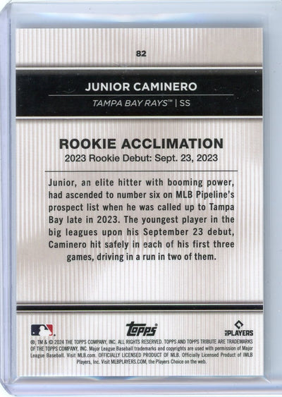 Junior Caminero 2024 Topps Tribute rookie card purple #'d 29/50