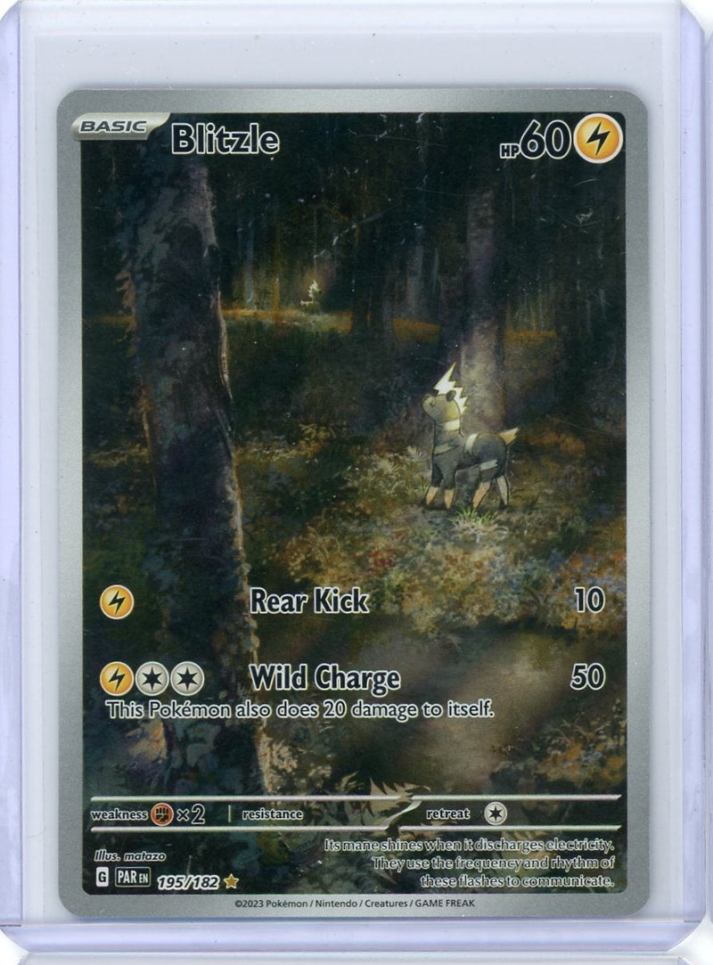 Blitzle Pokémon Paradox Rift Illustration Rare 