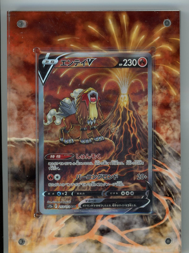 Entei V 2022 Pokemon Special Illustration Rare holo 213/172 w/ card display holder