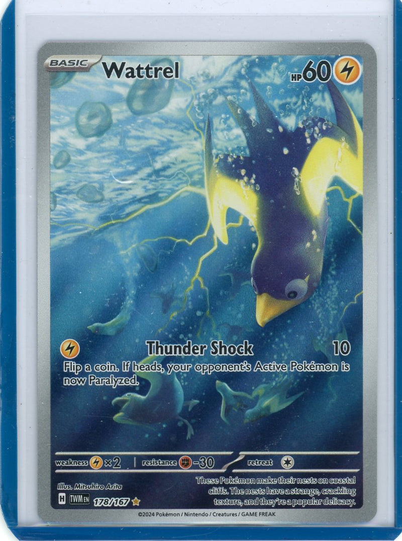 Wattrel 2024 Pokemon rare holo 178/167