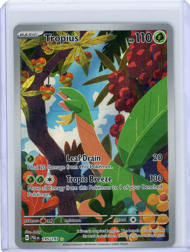 Tropius Pokémon Paldea Evolved Illustration Rare 
