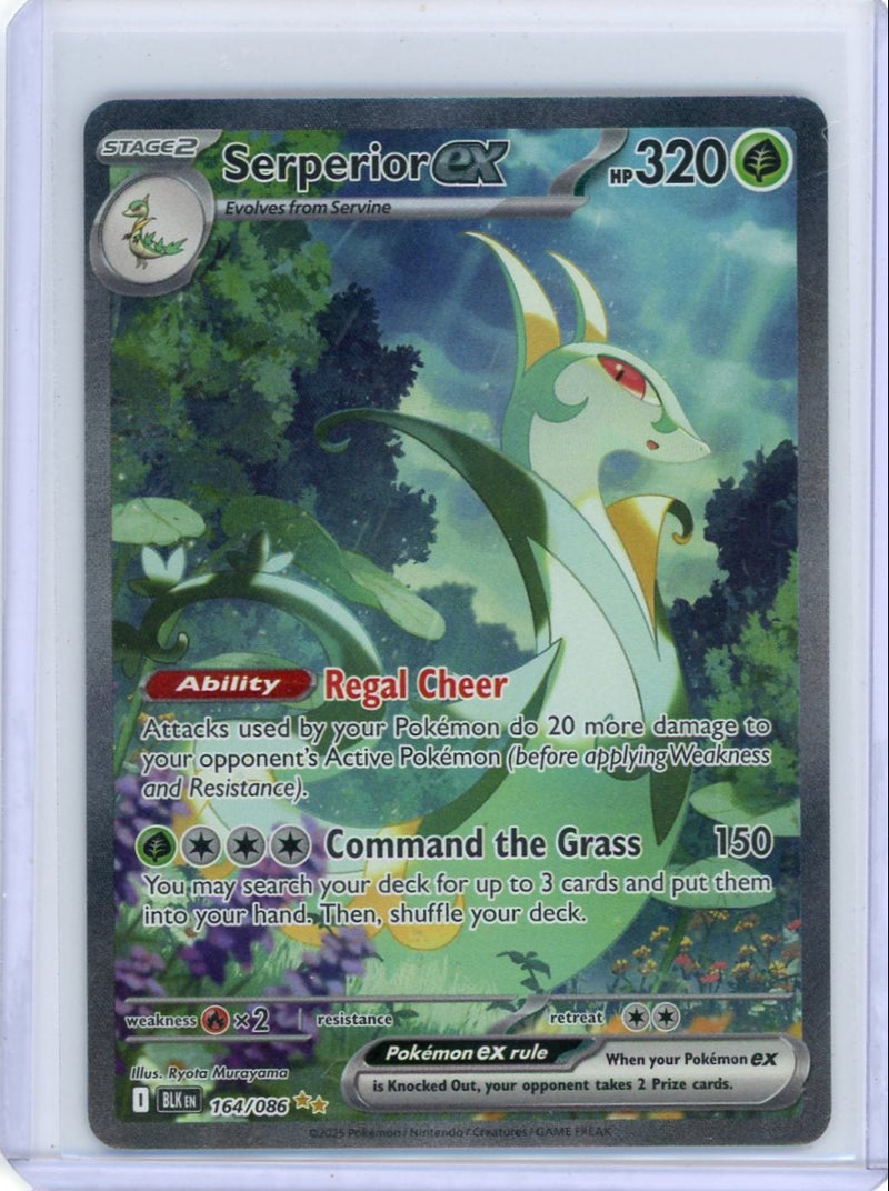 Serperior ex Pokémon Black Bolt Special Illustration Rare 