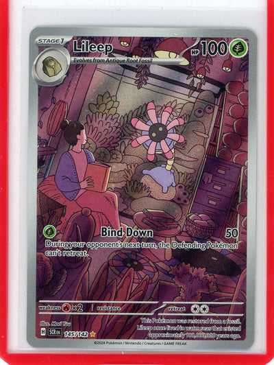 Lileep 2024 Pokemon Stellar Crown Illustration Rare holo 145/142