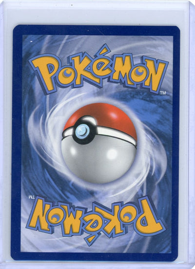 Pikachu & Zekrom GX Pokémon Black Star Promo #SM248