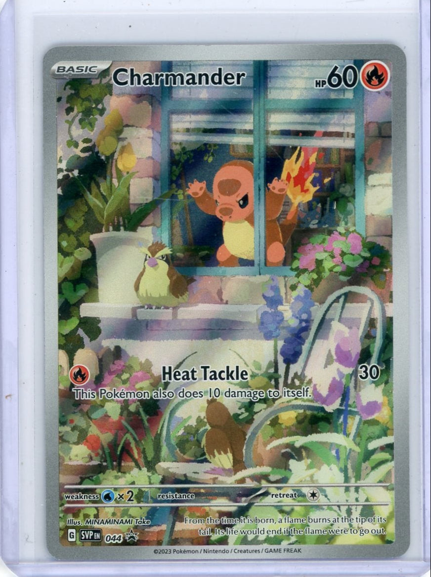 Charmander Pokémon Illustration Rare Black Star Promo #044