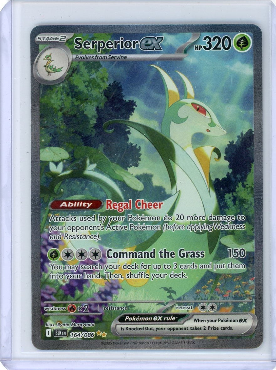 Serperior ex Pokémon Black Bolt Special Illustration Rare #164/086