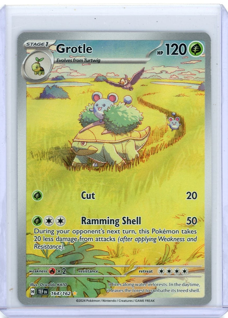 Grotle 2024 Pokemon Temporal Forces Illustration rare 