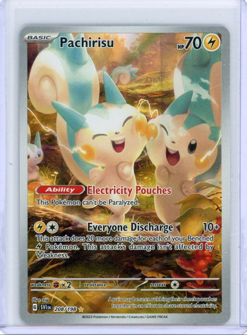 Pachirisu 2023 Pokemon Scarlet Violet Illustration rare 