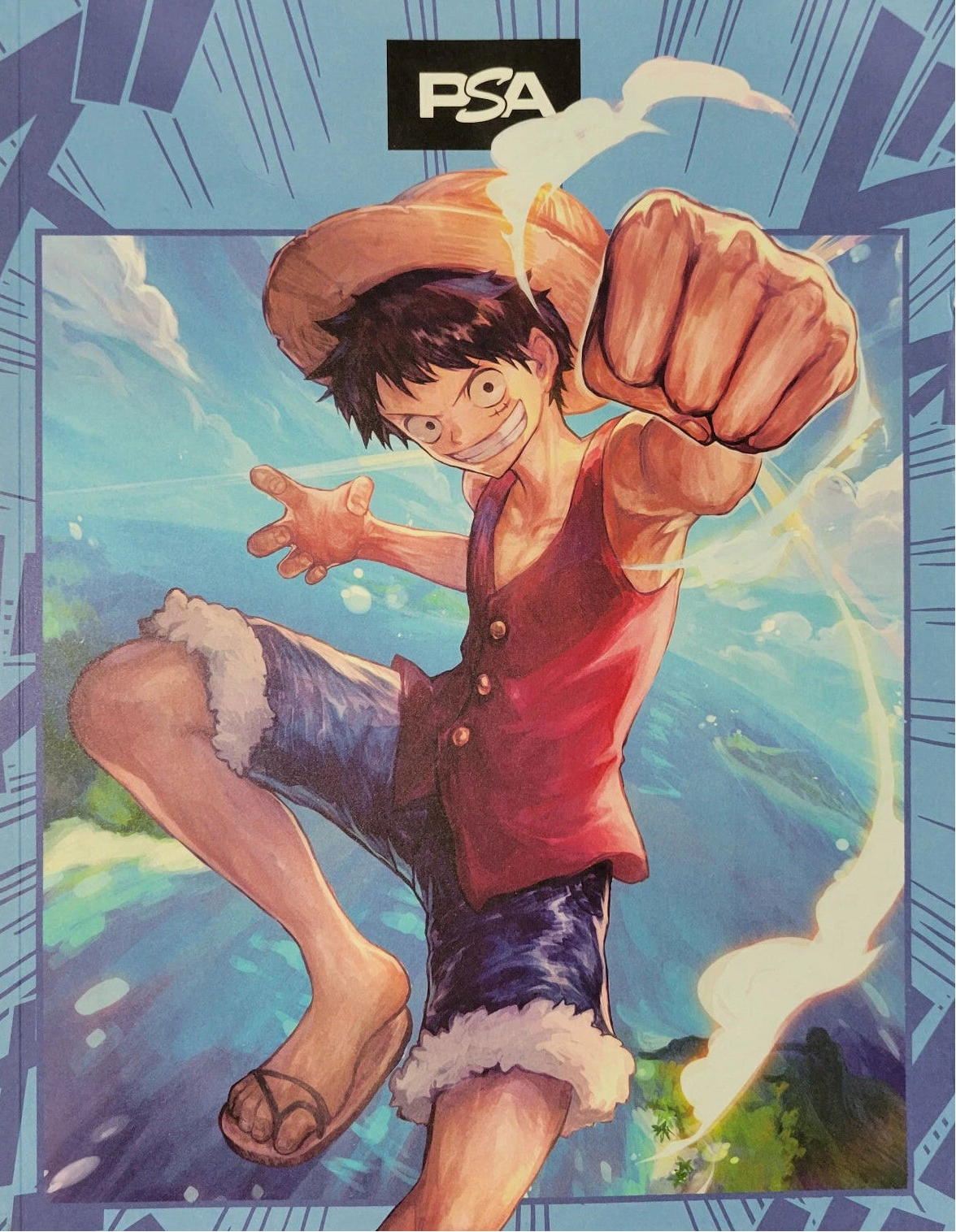 PSA Magazine - July 2024 - Monkey D. Luffy